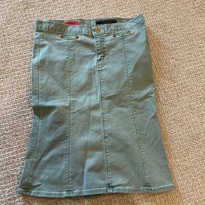 Anthropologie AG the grace green   skirt